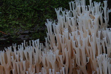 Similar image 10509934