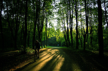 Similar image 10509936