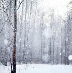 Similar image 10509937