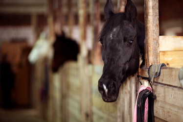 Similar image 10509938