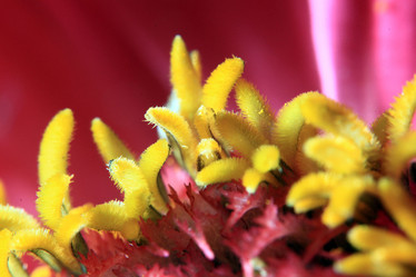 Similar image 10509942