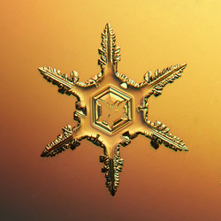 Similar image 10509944