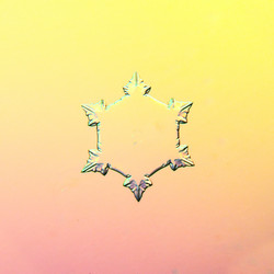 Similar image 10509948