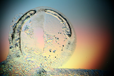 Similar image 10509954