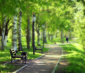 Similar image 10509957