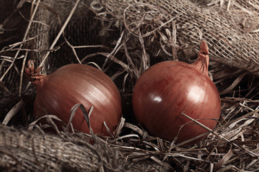 Similar image 10509959