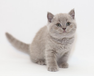 Similar image 10509978