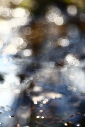 Similar image 10509996