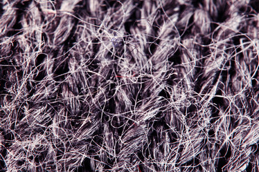 Similar image 10510005