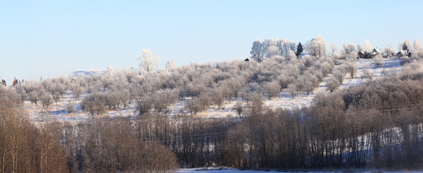 Similar image 10510017