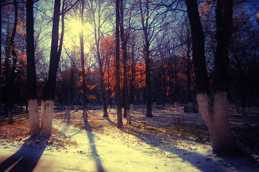 Similar image 10510020