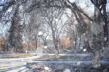 Similar image 10510025