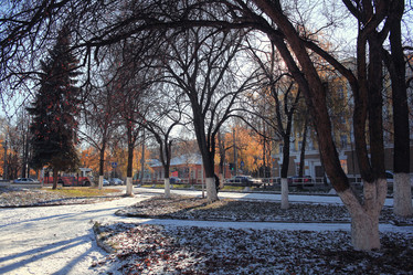 Similar image 10510026