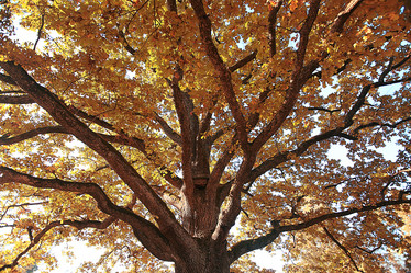 Similar image 10510057