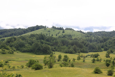 Similar image 10510063