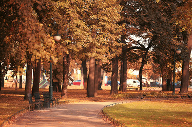 Similar image 10510065