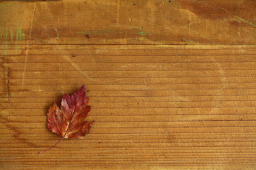 Similar image 10510077