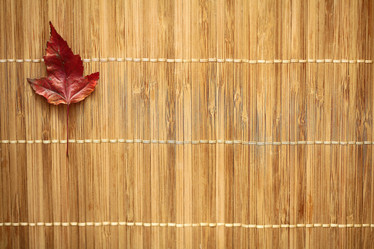 Similar image 10510079