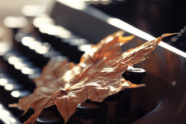 Similar image 10510080