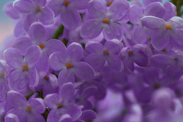 Similar image 10510089