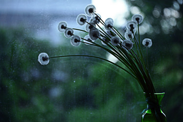 Similar image 10510090