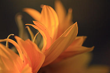 Similar image 10510091