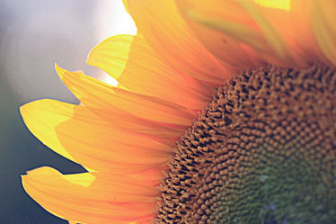 Similar image 10510092