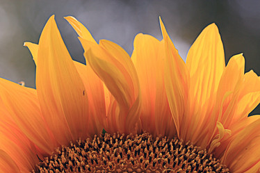 Similar image 10510093