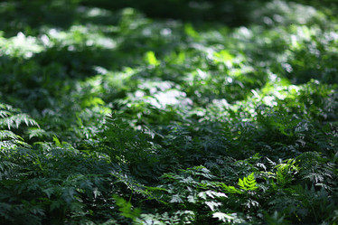 Similar image 10510094