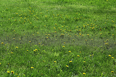 Similar image 10510097