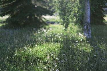 Similar image 10510105