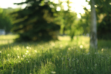 Similar image 10510106