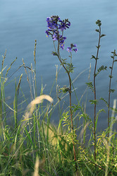 Similar image 10510113