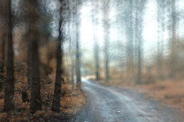 Similar image 10510125