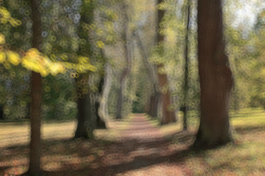 Similar image 10510131