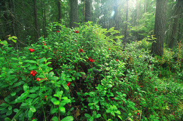 Similar image 10510134