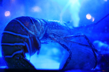 Similar image 10510135