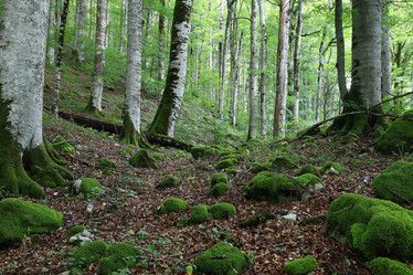 Similar image 10510138