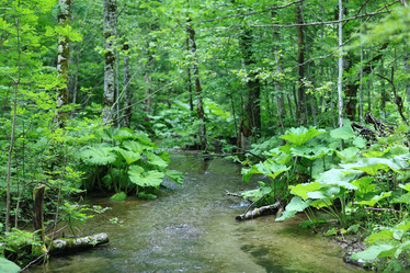 Similar image 10510140