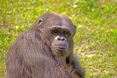 Similar image 10510179