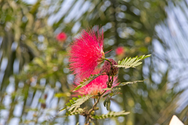 Similar image 10510181