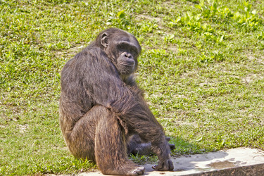 Similar image 10510182