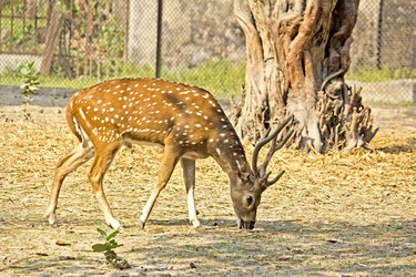 Similar image 10510185