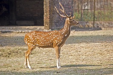 Similar image 10510186