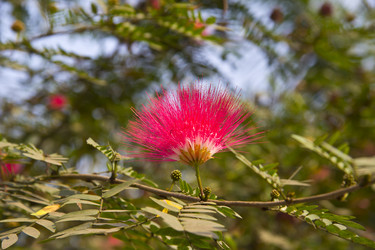 Similar image 10510188