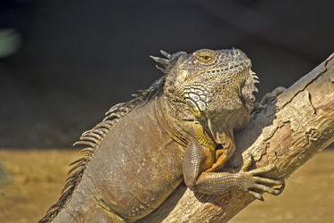 Similar image 10510191