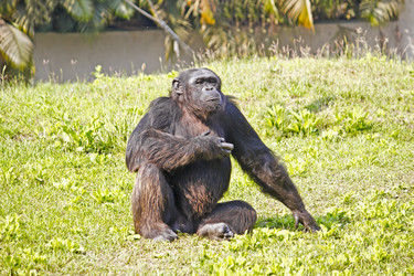 Similar image 10510192