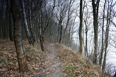 Similar image 10510197