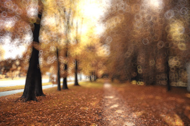 Similar image 10510204