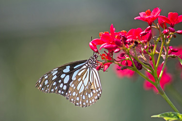 Similar image 10510210